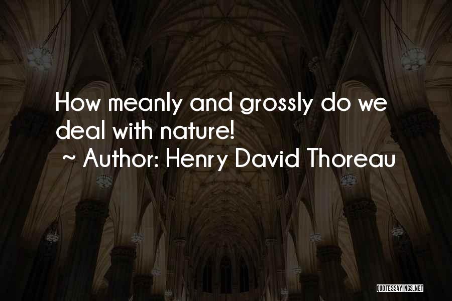 Henry David Thoreau Quotes: How Meanly And Grossly Do We Deal With Nature!