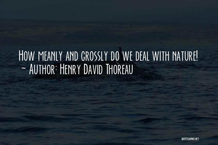 Henry David Thoreau Quotes: How Meanly And Grossly Do We Deal With Nature!