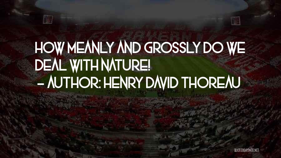 Henry David Thoreau Quotes: How Meanly And Grossly Do We Deal With Nature!