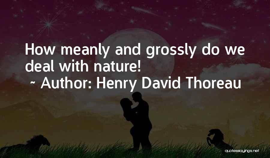 Henry David Thoreau Quotes: How Meanly And Grossly Do We Deal With Nature!