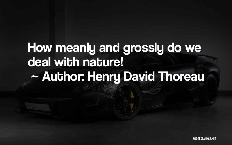 Henry David Thoreau Quotes: How Meanly And Grossly Do We Deal With Nature!
