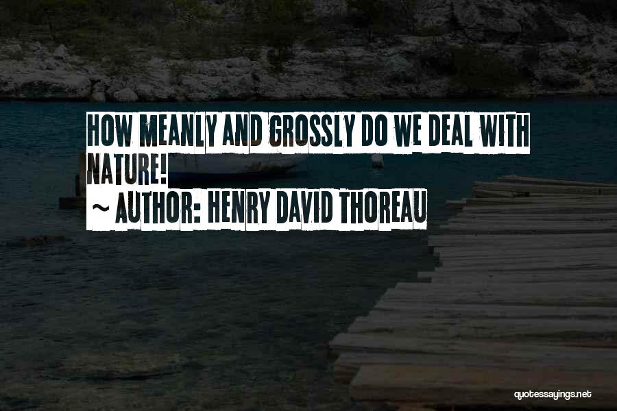Henry David Thoreau Quotes: How Meanly And Grossly Do We Deal With Nature!