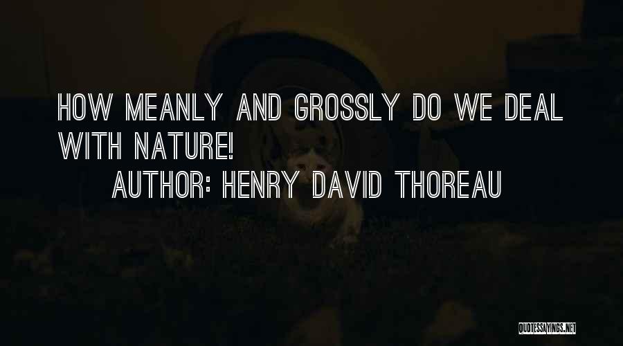 Henry David Thoreau Quotes: How Meanly And Grossly Do We Deal With Nature!