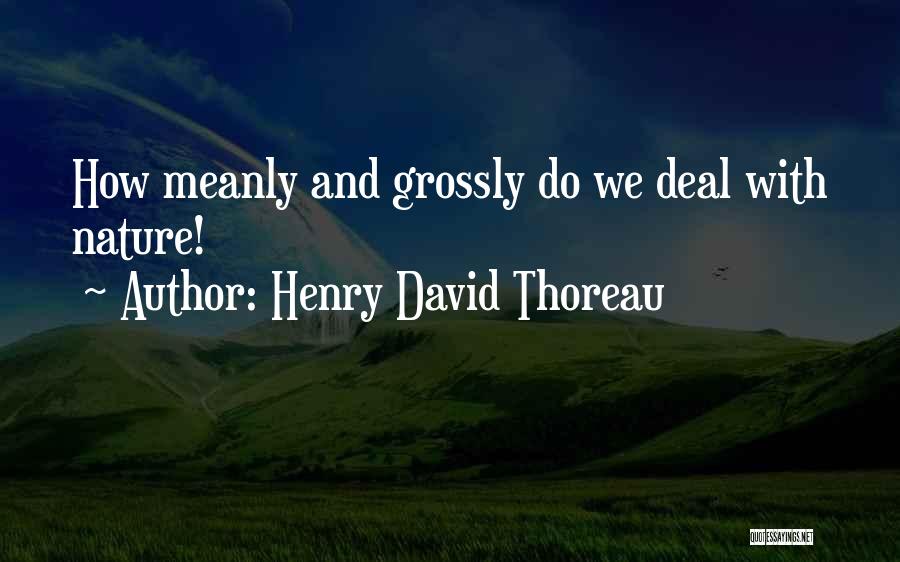 Henry David Thoreau Quotes: How Meanly And Grossly Do We Deal With Nature!