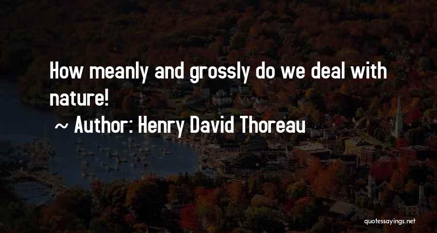 Henry David Thoreau Quotes: How Meanly And Grossly Do We Deal With Nature!