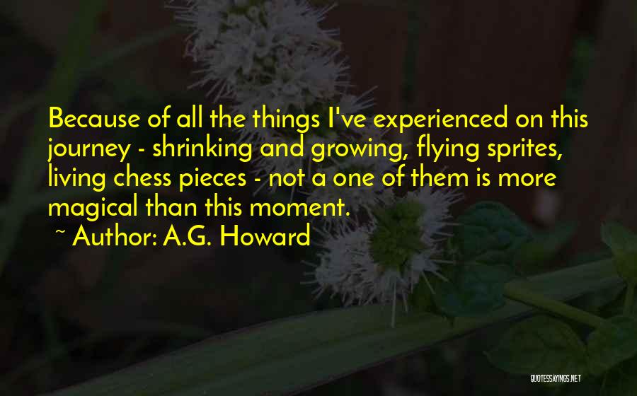 A.G. Howard Quotes: Because Of All The Things I've Experienced On This Journey - Shrinking And Growing, Flying Sprites, Living Chess Pieces -