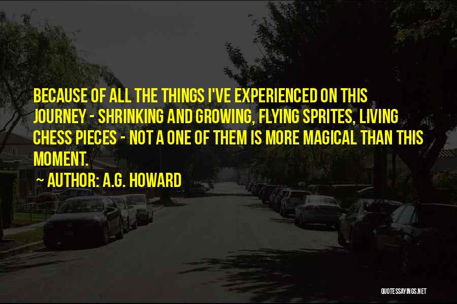 A.G. Howard Quotes: Because Of All The Things I've Experienced On This Journey - Shrinking And Growing, Flying Sprites, Living Chess Pieces -