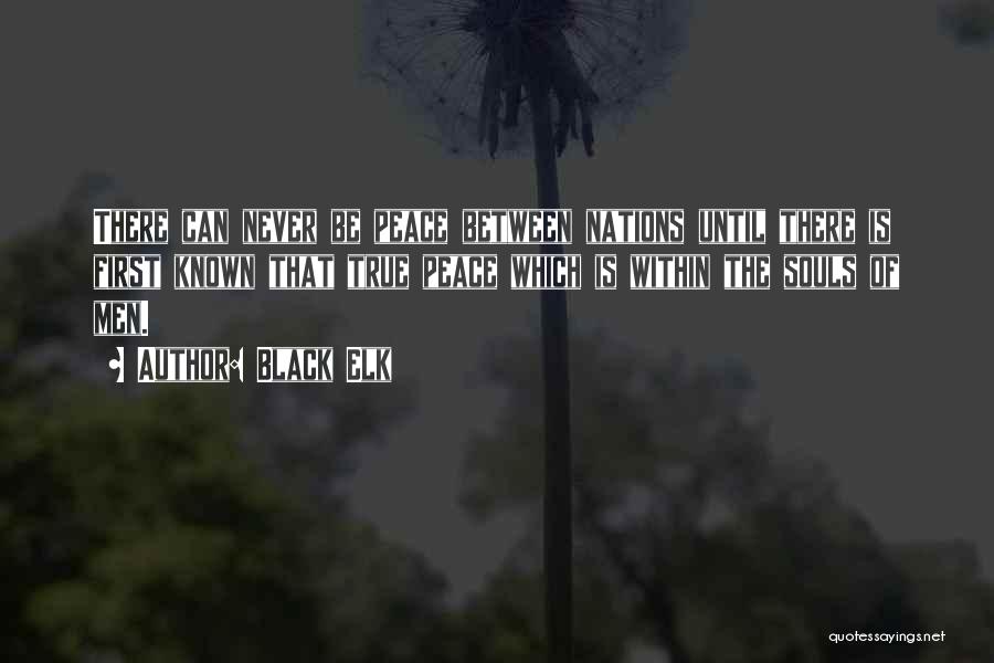 Black Elk Quotes: There Can Never Be Peace Between Nations Until There Is First Known That True Peace Which Is Within The Souls