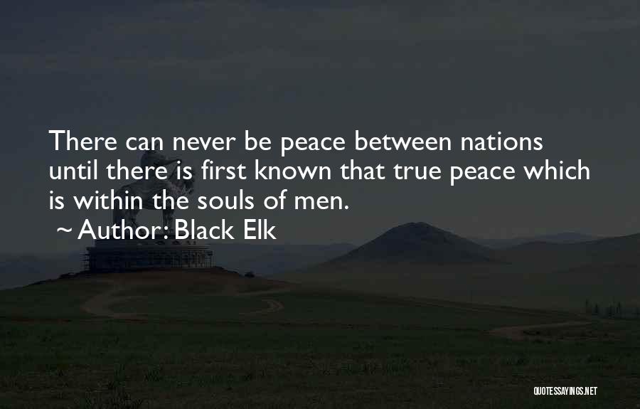 Black Elk Quotes: There Can Never Be Peace Between Nations Until There Is First Known That True Peace Which Is Within The Souls