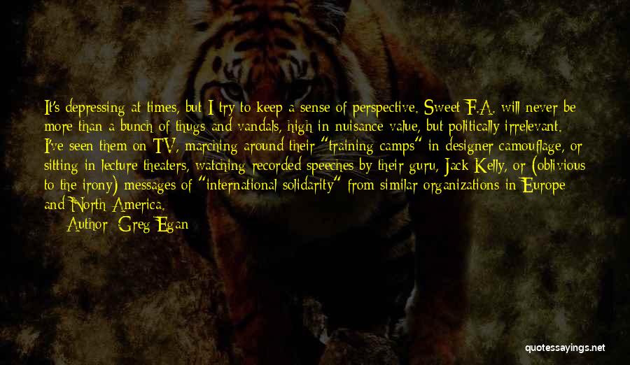 Greg Egan Quotes: It's Depressing At Times, But I Try To Keep A Sense Of Perspective. Sweet F.a. Will Never Be More Than