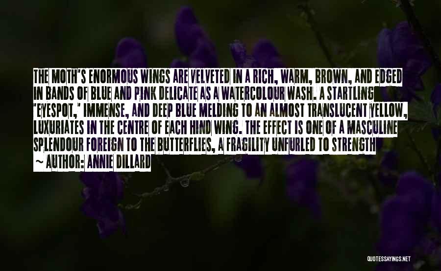 Annie Dillard Quotes: The Moth's Enormous Wings Are Velveted In A Rich, Warm, Brown, And Edged In Bands Of Blue And Pink Delicate