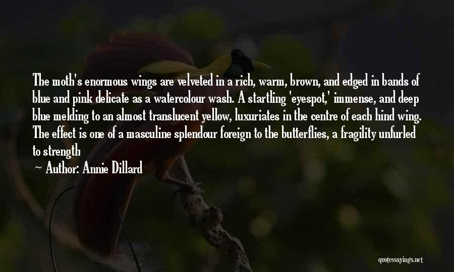 Annie Dillard Quotes: The Moth's Enormous Wings Are Velveted In A Rich, Warm, Brown, And Edged In Bands Of Blue And Pink Delicate