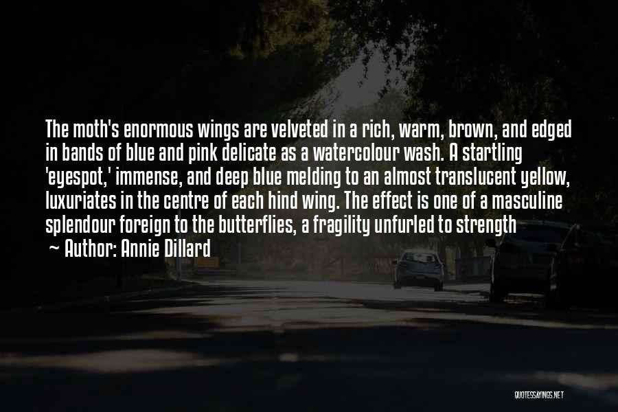 Annie Dillard Quotes: The Moth's Enormous Wings Are Velveted In A Rich, Warm, Brown, And Edged In Bands Of Blue And Pink Delicate