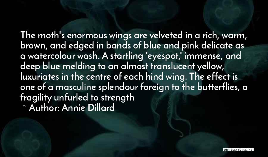 Annie Dillard Quotes: The Moth's Enormous Wings Are Velveted In A Rich, Warm, Brown, And Edged In Bands Of Blue And Pink Delicate