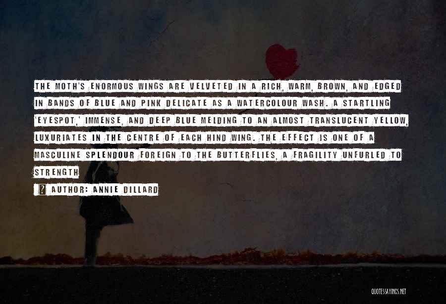 Annie Dillard Quotes: The Moth's Enormous Wings Are Velveted In A Rich, Warm, Brown, And Edged In Bands Of Blue And Pink Delicate