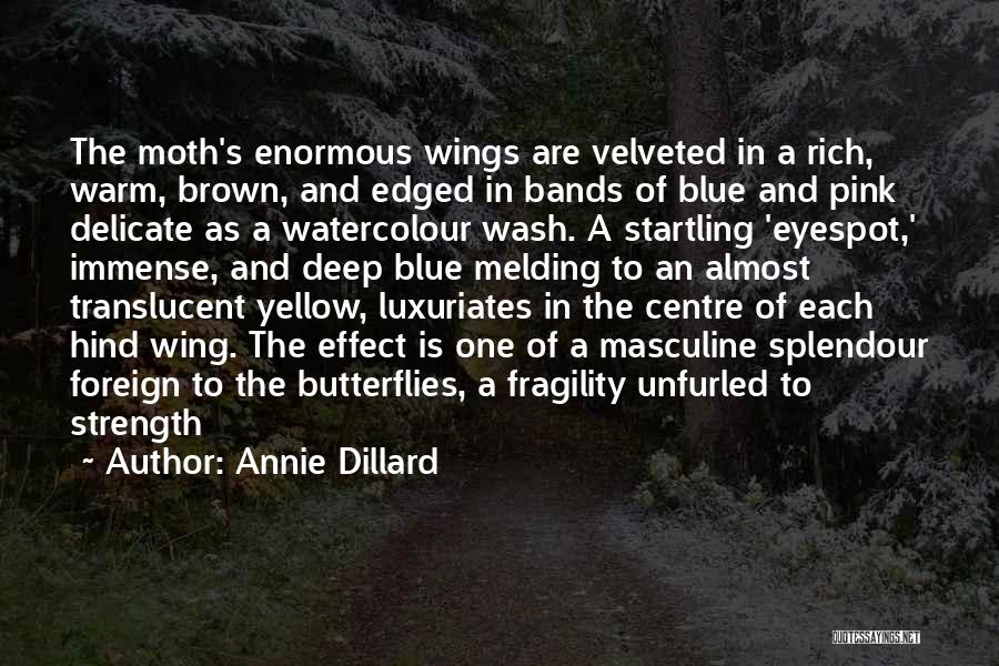 Annie Dillard Quotes: The Moth's Enormous Wings Are Velveted In A Rich, Warm, Brown, And Edged In Bands Of Blue And Pink Delicate