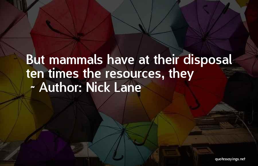 Nick Lane Quotes: But Mammals Have At Their Disposal Ten Times The Resources, They