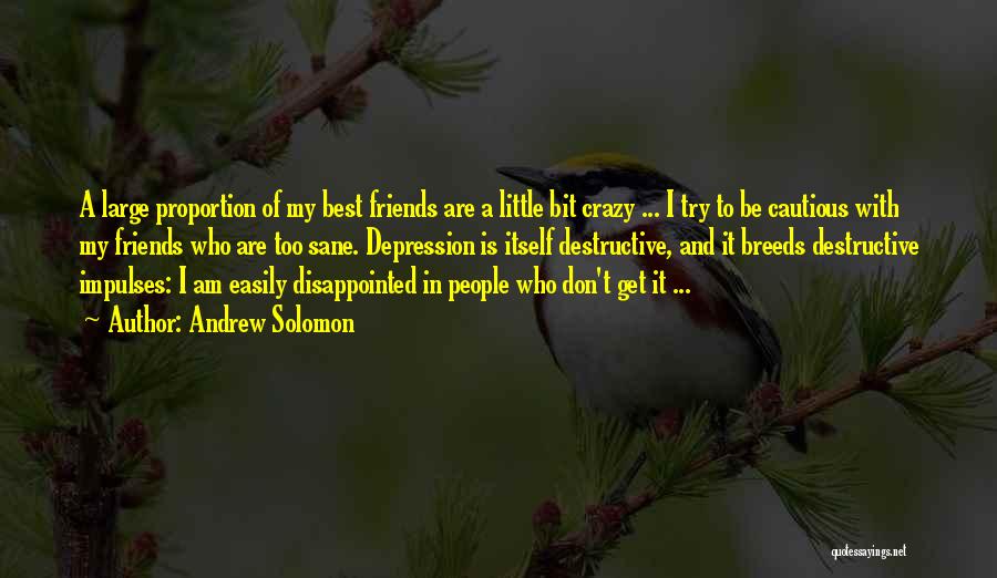 Andrew Solomon Quotes: A Large Proportion Of My Best Friends Are A Little Bit Crazy ... I Try To Be Cautious With My