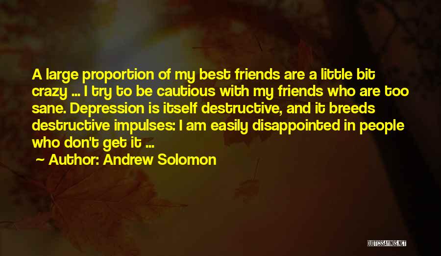 Andrew Solomon Quotes: A Large Proportion Of My Best Friends Are A Little Bit Crazy ... I Try To Be Cautious With My