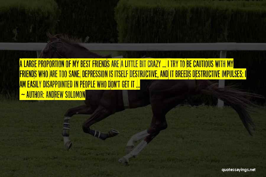 Andrew Solomon Quotes: A Large Proportion Of My Best Friends Are A Little Bit Crazy ... I Try To Be Cautious With My