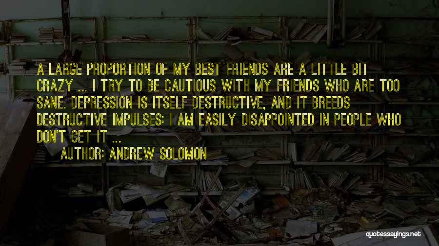 Andrew Solomon Quotes: A Large Proportion Of My Best Friends Are A Little Bit Crazy ... I Try To Be Cautious With My