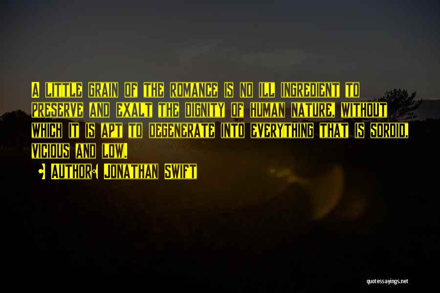 Jonathan Swift Quotes: A Little Grain Of The Romance Is No Ill Ingredient To Preserve And Exalt The Dignity Of Human Nature, Without