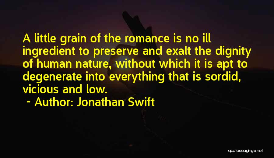 Jonathan Swift Quotes: A Little Grain Of The Romance Is No Ill Ingredient To Preserve And Exalt The Dignity Of Human Nature, Without