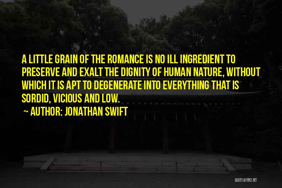 Jonathan Swift Quotes: A Little Grain Of The Romance Is No Ill Ingredient To Preserve And Exalt The Dignity Of Human Nature, Without
