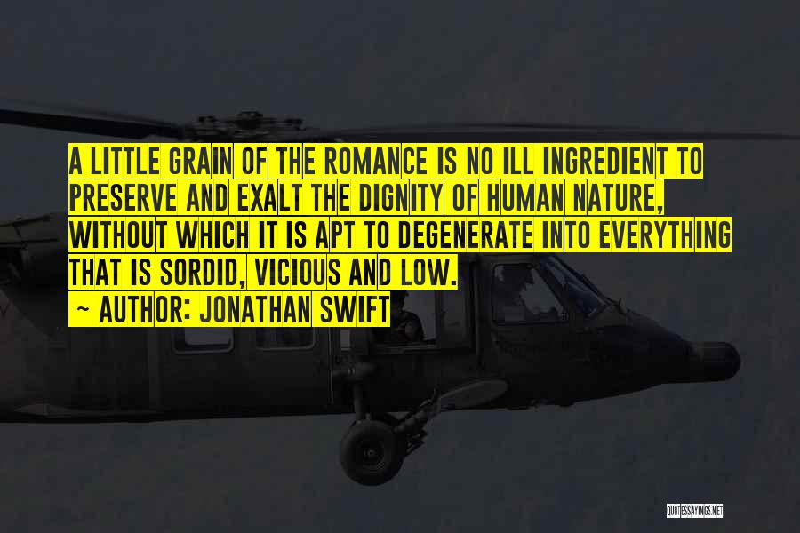 Jonathan Swift Quotes: A Little Grain Of The Romance Is No Ill Ingredient To Preserve And Exalt The Dignity Of Human Nature, Without