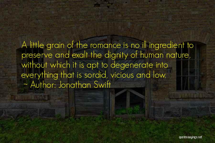 Jonathan Swift Quotes: A Little Grain Of The Romance Is No Ill Ingredient To Preserve And Exalt The Dignity Of Human Nature, Without