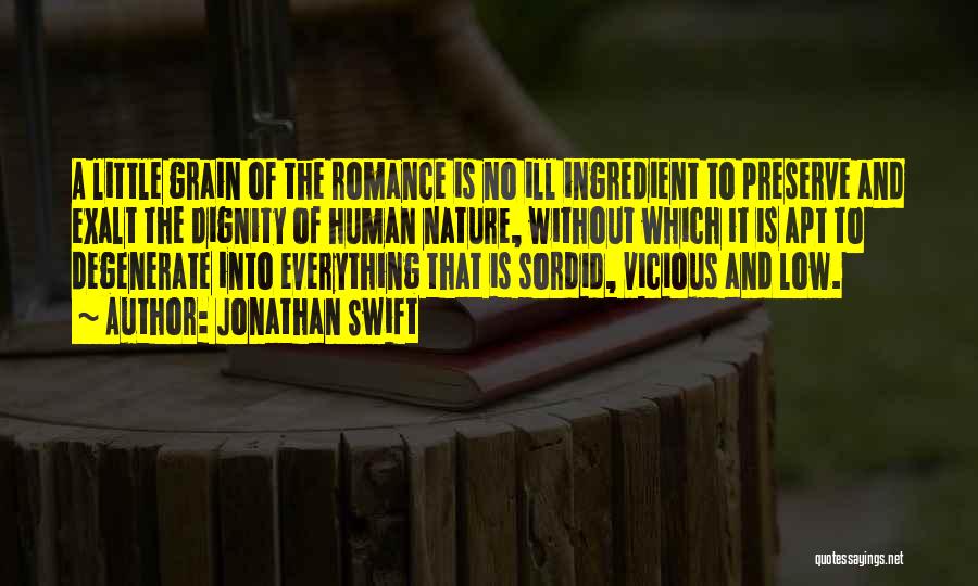 Jonathan Swift Quotes: A Little Grain Of The Romance Is No Ill Ingredient To Preserve And Exalt The Dignity Of Human Nature, Without