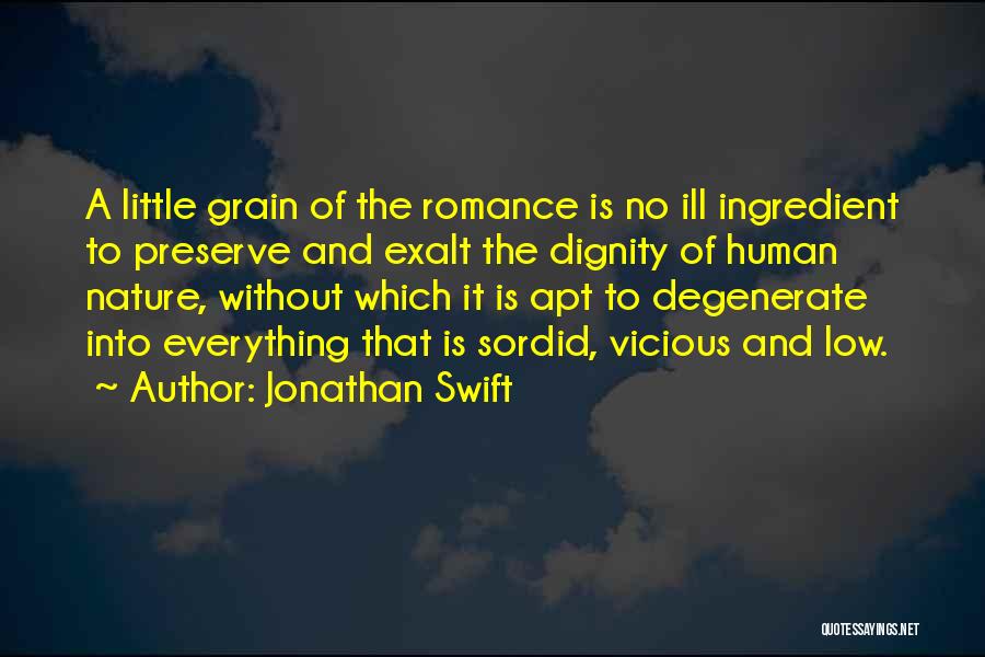 Jonathan Swift Quotes: A Little Grain Of The Romance Is No Ill Ingredient To Preserve And Exalt The Dignity Of Human Nature, Without