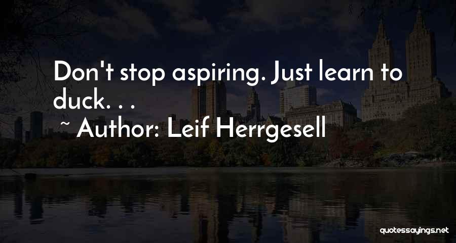 Leif Herrgesell Quotes: Don't Stop Aspiring. Just Learn To Duck. . .