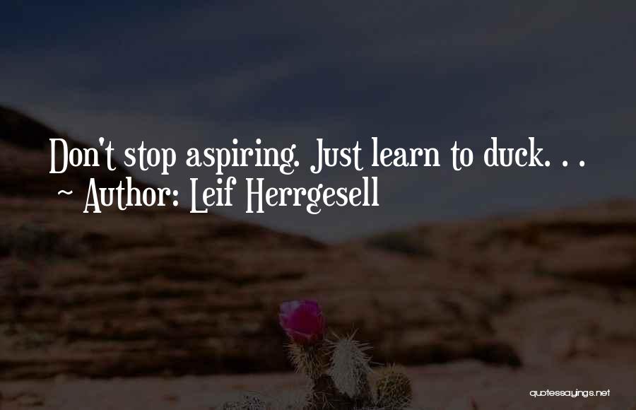 Leif Herrgesell Quotes: Don't Stop Aspiring. Just Learn To Duck. . .