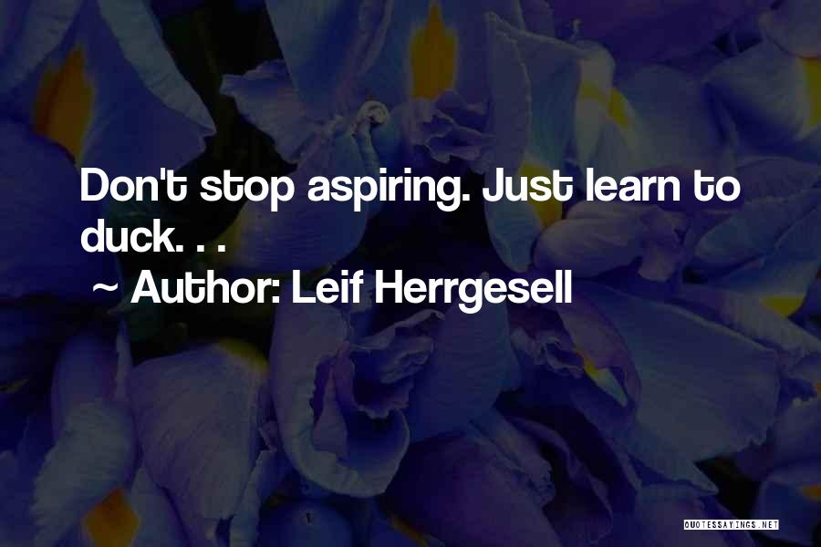 Leif Herrgesell Quotes: Don't Stop Aspiring. Just Learn To Duck. . .