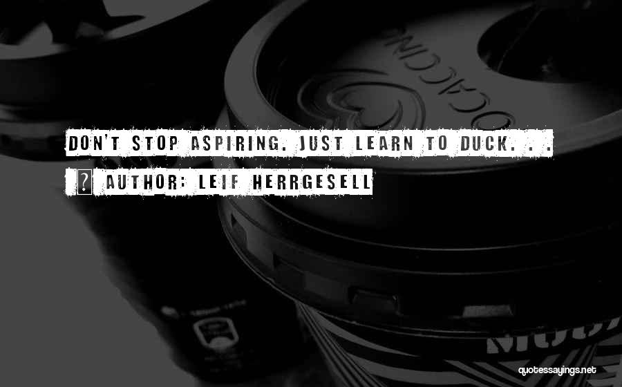 Leif Herrgesell Quotes: Don't Stop Aspiring. Just Learn To Duck. . .