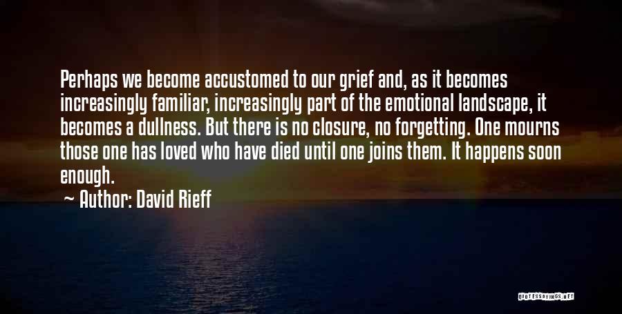 David Rieff Quotes: Perhaps We Become Accustomed To Our Grief And, As It Becomes Increasingly Familiar, Increasingly Part Of The Emotional Landscape, It