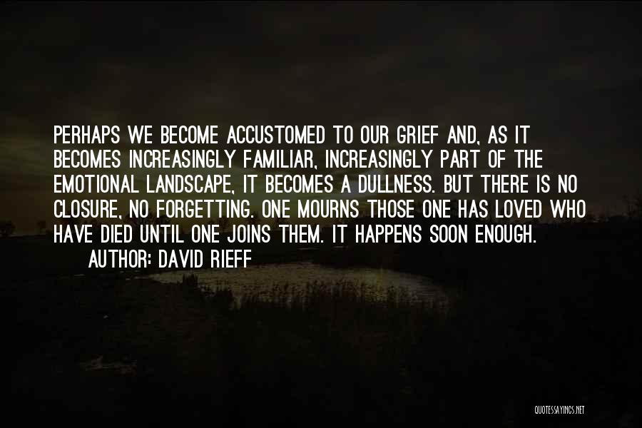 David Rieff Quotes: Perhaps We Become Accustomed To Our Grief And, As It Becomes Increasingly Familiar, Increasingly Part Of The Emotional Landscape, It