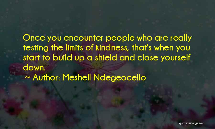 Meshell Ndegeocello Quotes: Once You Encounter People Who Are Really Testing The Limits Of Kindness, That's When You Start To Build Up A