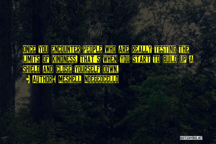 Meshell Ndegeocello Quotes: Once You Encounter People Who Are Really Testing The Limits Of Kindness, That's When You Start To Build Up A