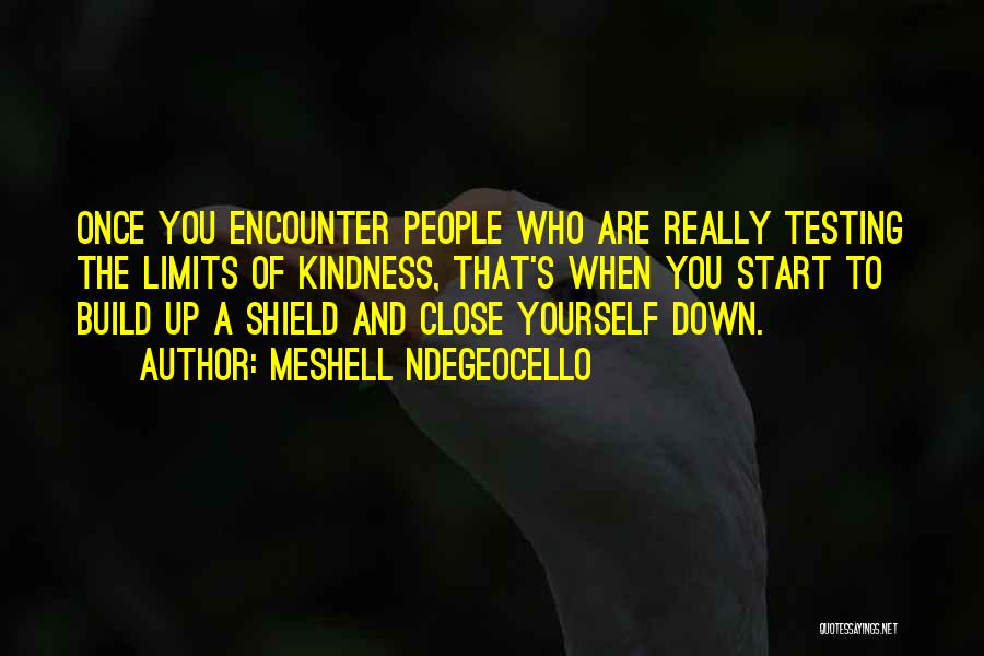 Meshell Ndegeocello Quotes: Once You Encounter People Who Are Really Testing The Limits Of Kindness, That's When You Start To Build Up A