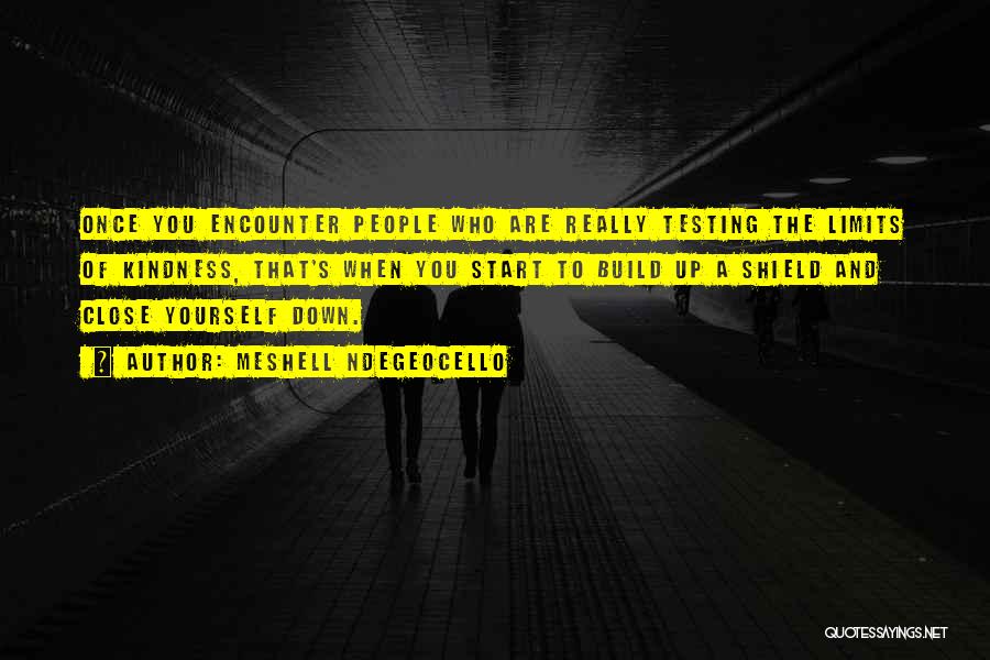 Meshell Ndegeocello Quotes: Once You Encounter People Who Are Really Testing The Limits Of Kindness, That's When You Start To Build Up A