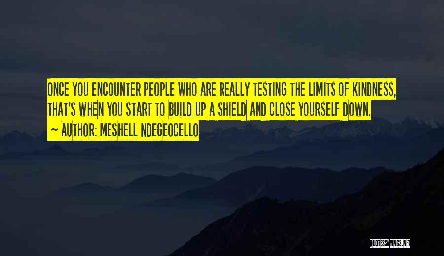 Meshell Ndegeocello Quotes: Once You Encounter People Who Are Really Testing The Limits Of Kindness, That's When You Start To Build Up A