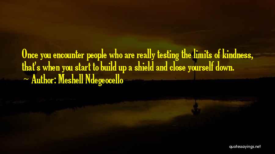Meshell Ndegeocello Quotes: Once You Encounter People Who Are Really Testing The Limits Of Kindness, That's When You Start To Build Up A