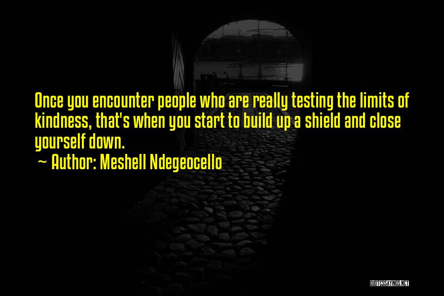 Meshell Ndegeocello Quotes: Once You Encounter People Who Are Really Testing The Limits Of Kindness, That's When You Start To Build Up A