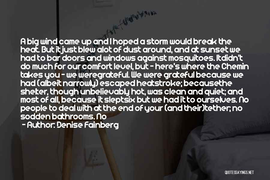Denise Fainberg Quotes: A Big Wind Came Up And I Hoped A Storm Would Break The Heat. But It Just Blew Alot Of