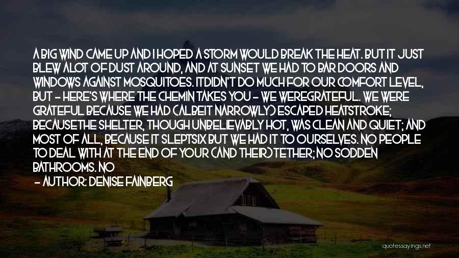 Denise Fainberg Quotes: A Big Wind Came Up And I Hoped A Storm Would Break The Heat. But It Just Blew Alot Of