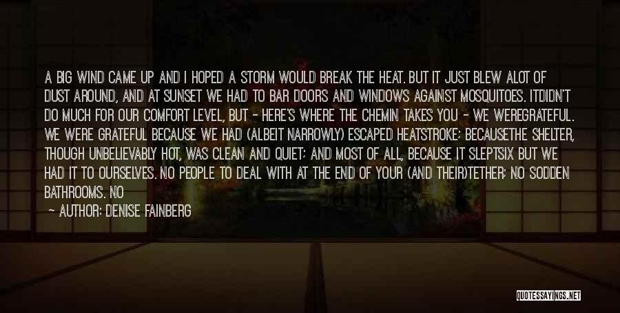 Denise Fainberg Quotes: A Big Wind Came Up And I Hoped A Storm Would Break The Heat. But It Just Blew Alot Of