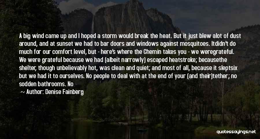 Denise Fainberg Quotes: A Big Wind Came Up And I Hoped A Storm Would Break The Heat. But It Just Blew Alot Of