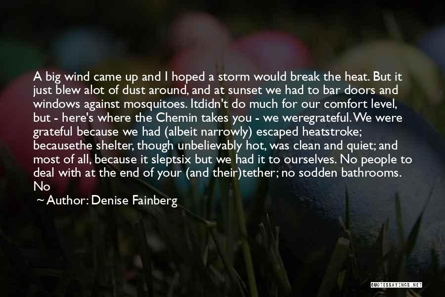 Denise Fainberg Quotes: A Big Wind Came Up And I Hoped A Storm Would Break The Heat. But It Just Blew Alot Of